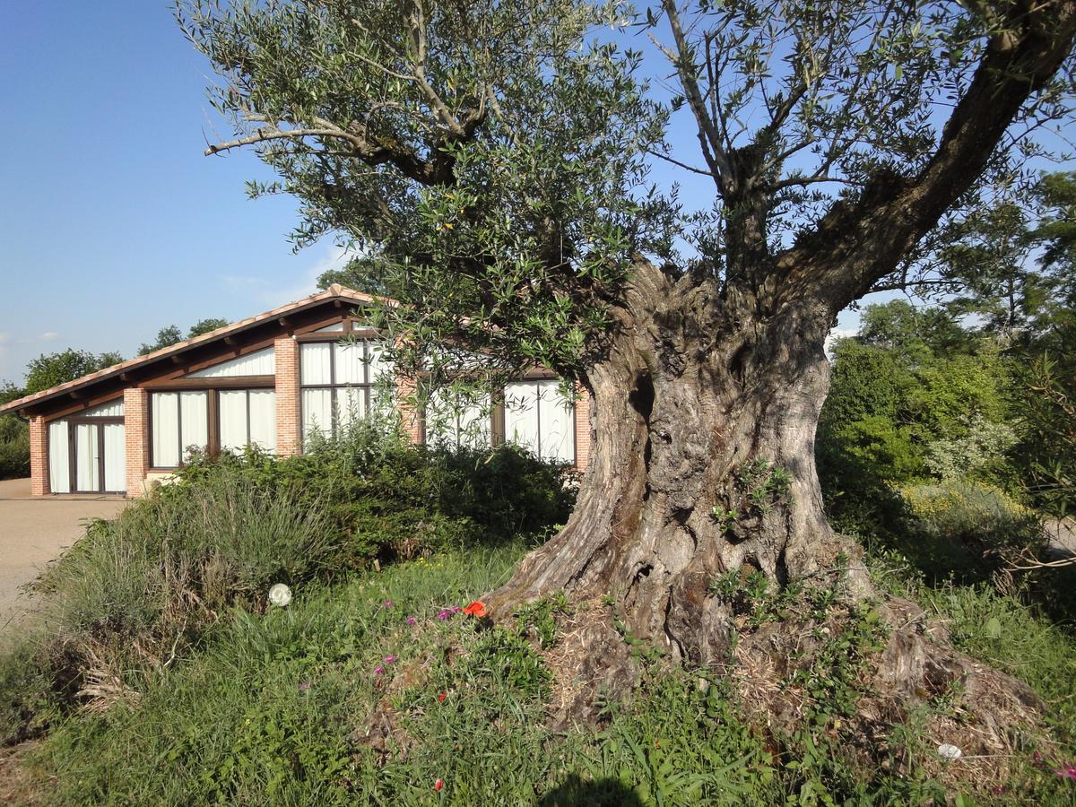 Chalet Domaine De Combe Ramond Hotel Veilhes Buitenkant foto